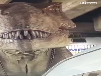 泰国公路惊现“恐龙” 蹲坐货车上“狂吼”