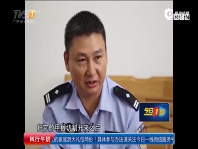 航拍广东警方抓获贩毒嫌犯 查获冰毒2吨