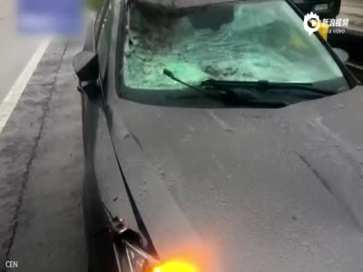监拍麋鹿突闯高速公路 司机迎面撞上车毁鹿亡