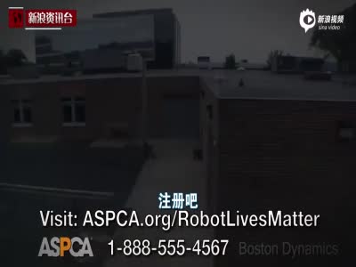 美动物保护组织拍创意广告 机器人委屈出镜