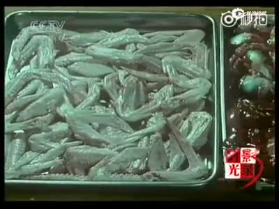 珍贵视频：1986年纪录片《北京烤鸭》