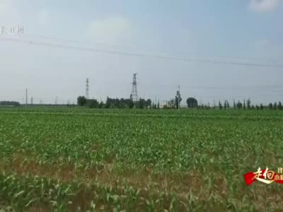【走向我们的小康生活】沧州吴桥：农业现代新技术 农民走上小康路