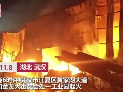 突发！#武汉一工业园发生大火#，消防正在扑救