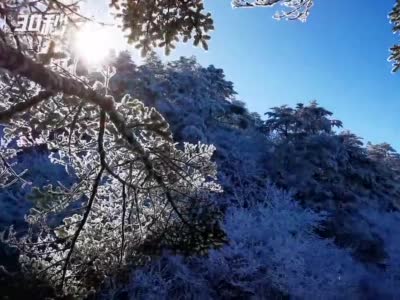 30秒 |  四川峨眉山晴雪飘落 景区宛若冰雪世界