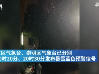 上海下雪了！网友纷纷晒图晒视频，这些地方可能有积雪