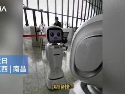 江西省图书馆两名机器人吵架，网友：像极了情侣