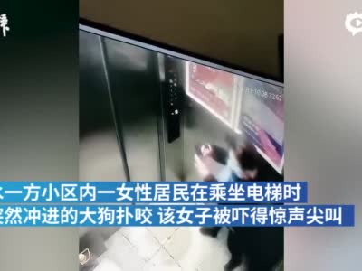 乘电梯被大狗扑咬，女子被吓到惊声尖叫