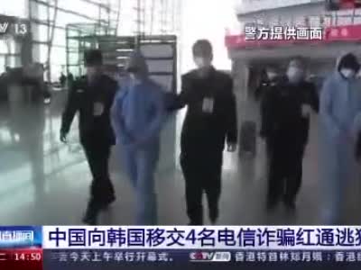 在津设立犯罪窝点，4名韩国籍红通逃犯被遣送出境！现场视频→
