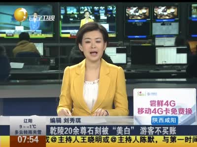 乾陵20余尊石刻被美白