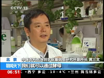我国科学家发现黄瓜发苦基因