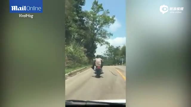 实拍：泰国男子骑摩托车突遭飞蛇袭击险被咬