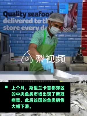 斯里兰卡议员新闻发布会上吃生鱼 为了鼓励鱼类销售