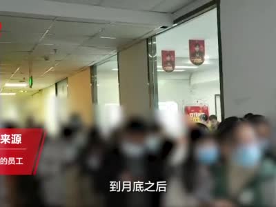 每经记者多地调查 还原蛋壳公寓“被破产”72小时