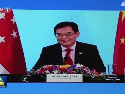 中国和新加坡启动双边自贸协定升级后续谈判