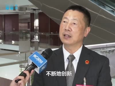 视频|上海的汽车产业如何迈向高端？人大代表建议瞄准这一领域