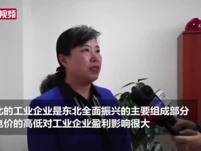 王丽代表：建议降低东北电价 电价高低对工业企业盈利影响很大