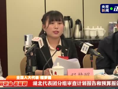 云听会 看履职丨关注民生福祉 聚焦乡村振兴 湖北团基层代表们的建议都很接地气