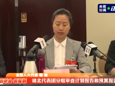 云听会 看履职丨关注民生福祉 聚焦乡村振兴 湖北团基层代表们的建议都很接地气