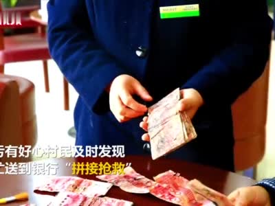 老人1.5万元现金受潮变成纸疙瘩 银行“拼接抢救”4000元