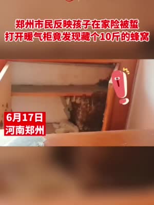 市民反映孩子在家险被蜇 打开暖气柜发现藏个10斤重的蜂窝