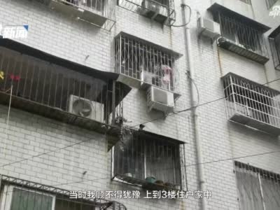三岁幼童悬挂4楼窗台 95后特警单手托举10分钟成功营救