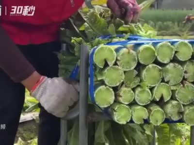 30秒 | 成都彭州100噸蔬菜馳援上海
