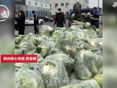 暖新闻丨20多天、60吨蔬菜、8万元，郑州小伙你真中！