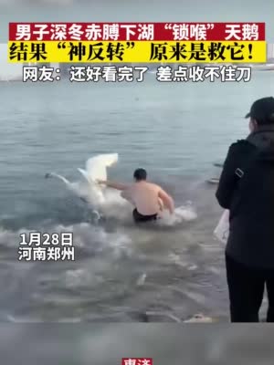 男子跳入水中“锁喉”天鹅为哪般？